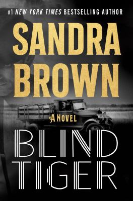 Blind tiger : a novel