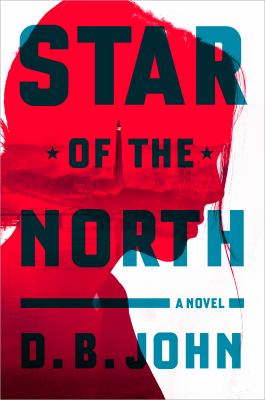 Star of the North : a novel
